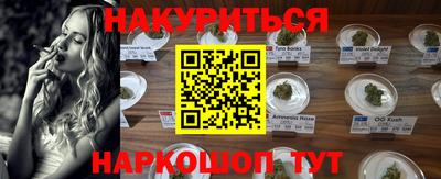 индика Славгород